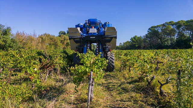 harvest-1682559_640