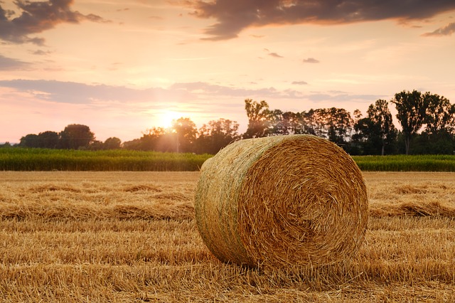 straw-bales-3521063_640